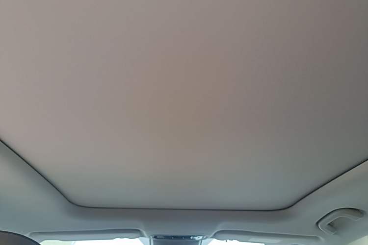 Used Leapmotor C11 2021 Revised Version Luxury Edition Headliner