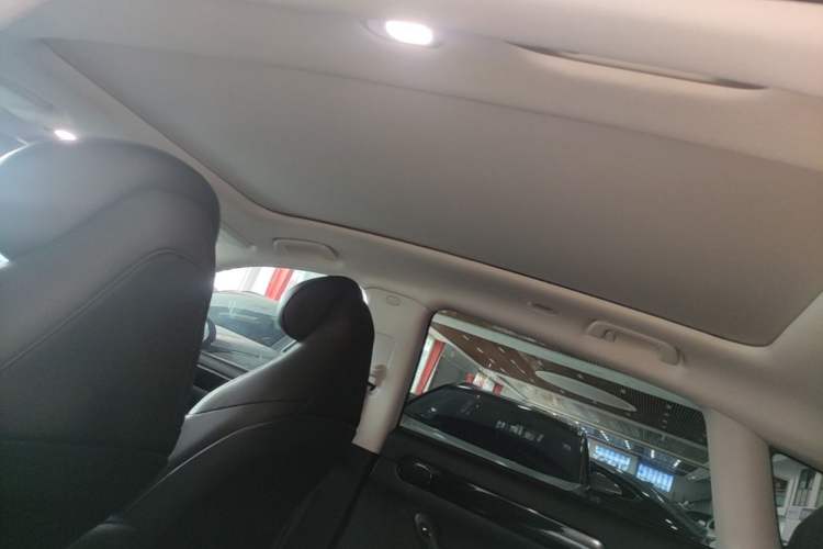 Used Leapmotor C11 2021 Revised Version Luxury Edition Headliner