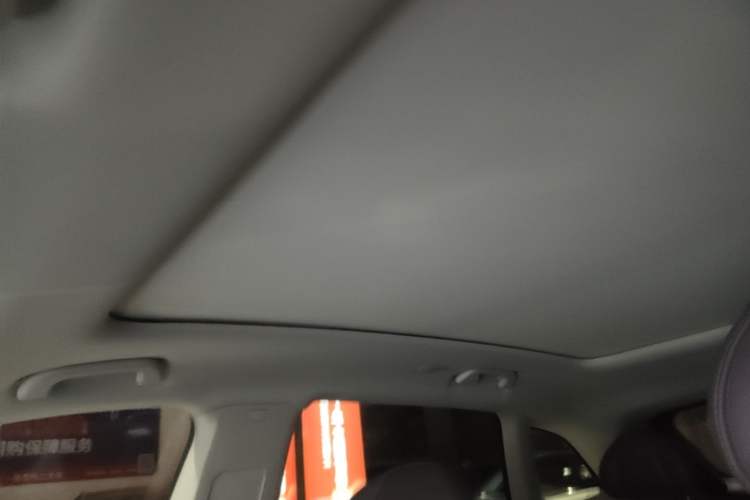 Used Leapmotor C11 2021 Revised Version Luxury Edition Headliner