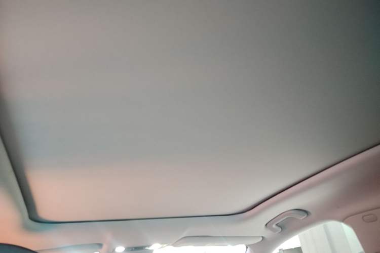 Used Leapmotor C11 2021 Revised Version Luxury Edition Headliner