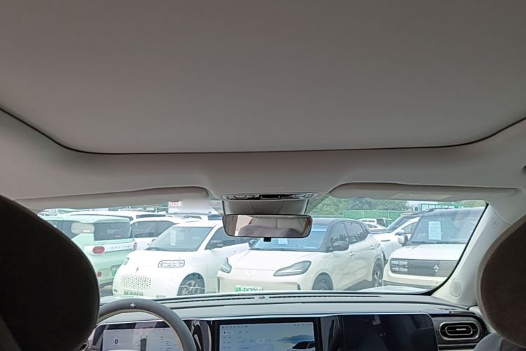 Used Leapmotor C11 2021 Luxury Edition Headliner