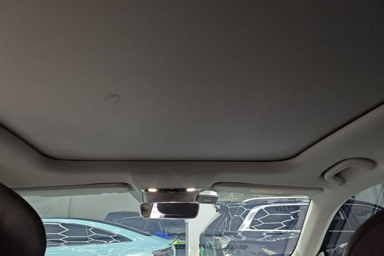 Used Leapmotor C11 2021 Luxury Edition Headliner