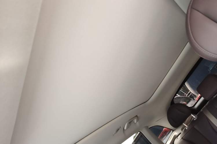 Used Leapmotor C11 2021 Luxury Edition Headliner