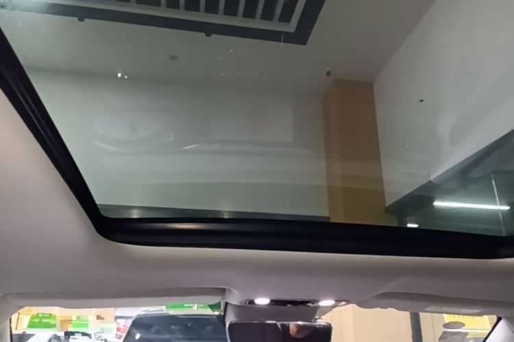 Used Leapmotor C11 2021 Executive Edition 510 Headliner