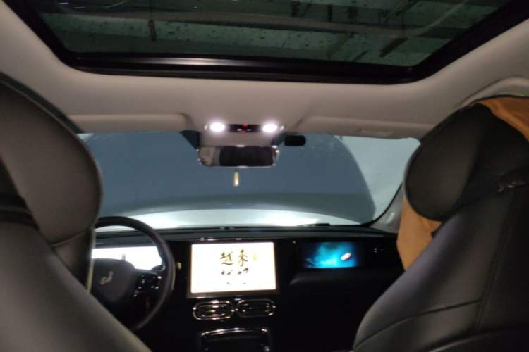 Used Leapmotor C11 2021 Luxury Edition Headliner