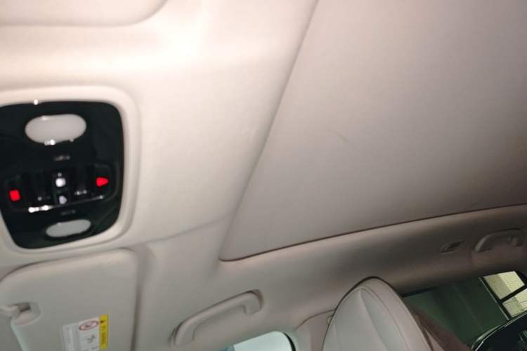 Used Leapmotor C11 2021 Luxury Edition Headliner