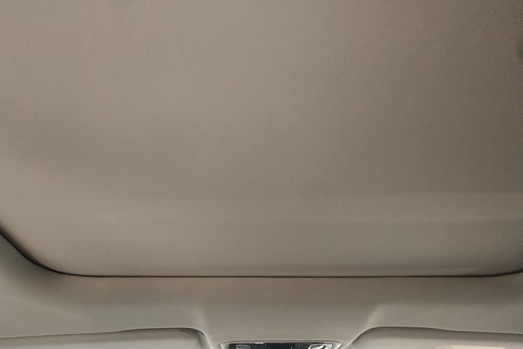 Used Leapmotor C11 2021 Performance Edition Headliner