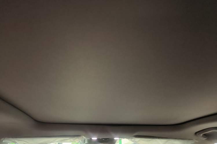 Used Leapmotor C11 2021 Luxury Edition Headliner