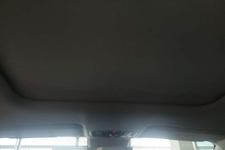 Used Leapmotor C11 2021 Revised Version Luxury Edition Headliner