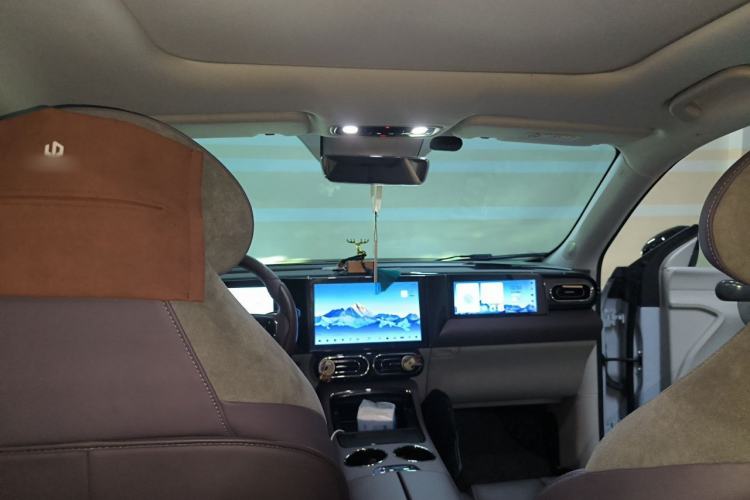 Used Leapmotor C11 2021 Deluxe Edition Headliner