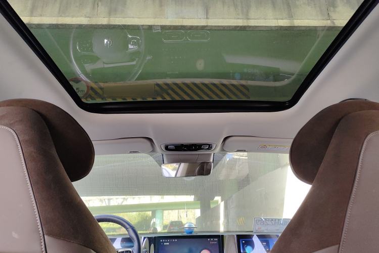 Used Leapmotor C11 2021 Performance Edition Headliner