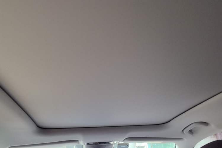 Used Leapmotor C11 2021 Revised Version Luxury Edition Headliner