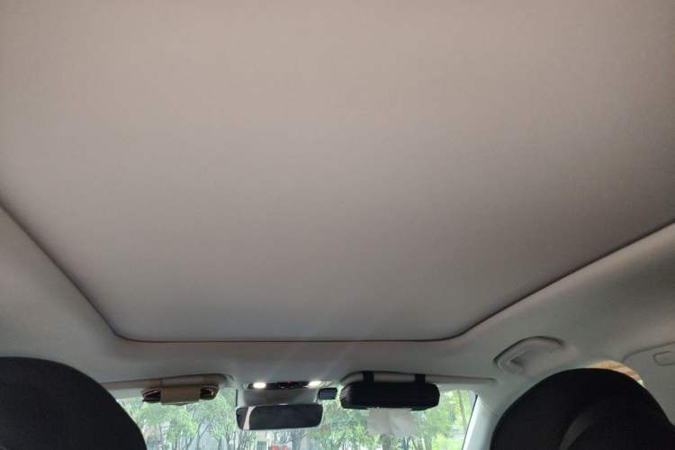 Used Leapmotor C11 2021 Performance Edition Headliner