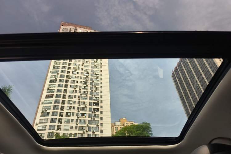 Used Leapmotor C11 2021 Deluxe Edition Headliner