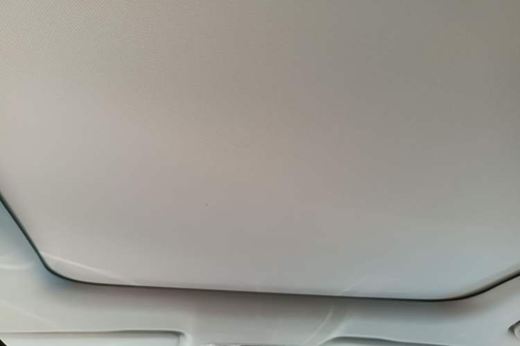 Used Leapmotor C11 2021 Revised Version Luxury Edition Headliner