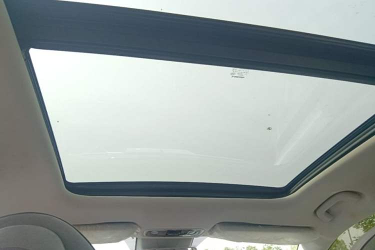 Used Leapmotor C11 2021 Deluxe Edition Headliner