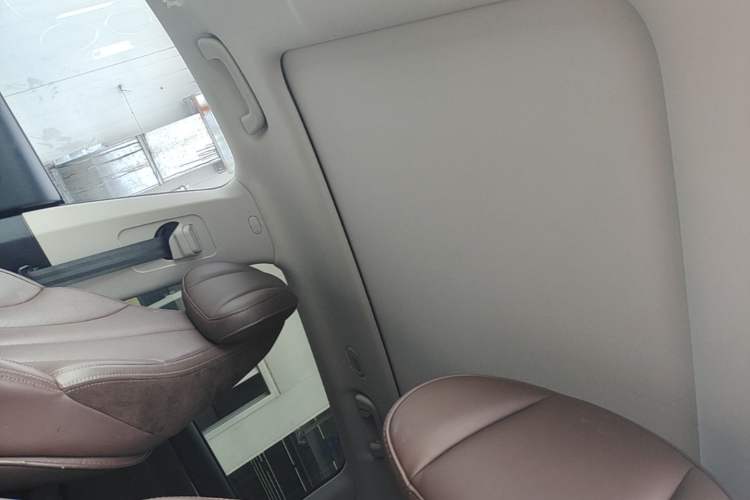 Used Leapmotor C11 2021 Luxury Edition Headliner