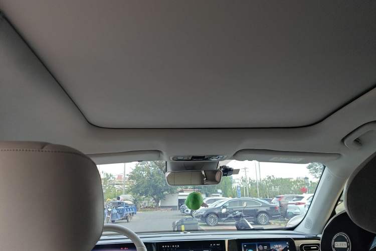 Used Leapmotor C11 2021 Luxury Edition Headliner