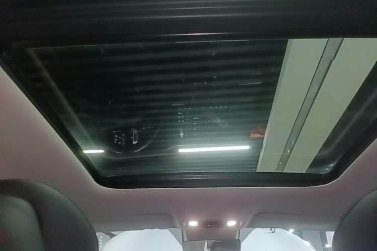 Used Leapmotor C11 2021 Luxury Edition Headliner