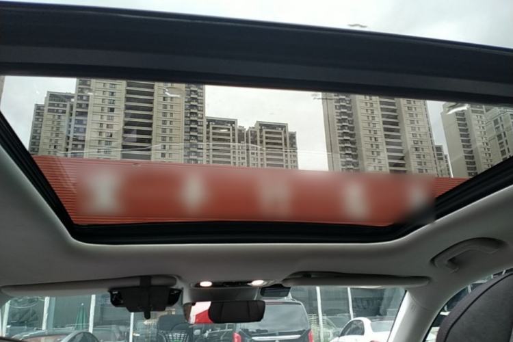 Used Leapmotor C11 2021 Luxury Edition Headliner