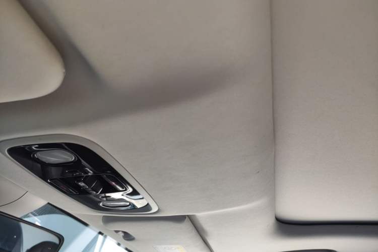 Used Leapmotor C11 2021 Deluxe Edition Headliner