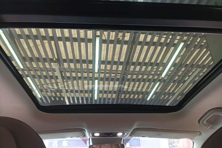 Used Leapmotor C11 2021 Performance Edition Headliner