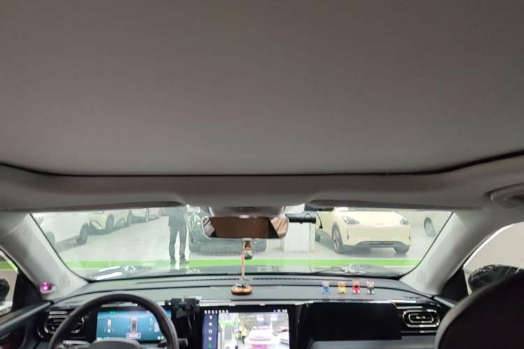 Used Leapmotor C11 2021 Luxury Edition Headliner