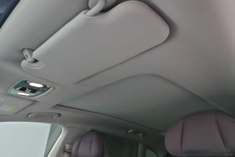 Used Leapmotor C11 2021 Deluxe Edition Headliner