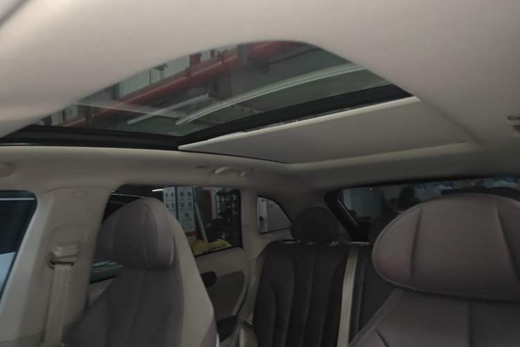 Used Leapmotor C11 2021 Revised Version Luxury Edition Headliner