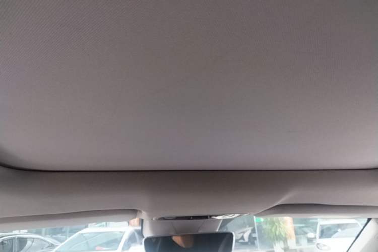 Used Leapmotor C11 2021 Luxury Edition Headliner