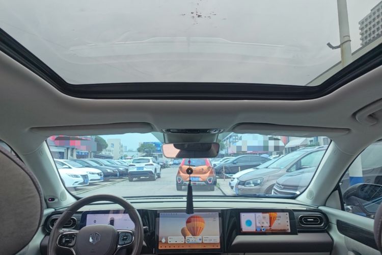 Used Leapmotor C11 2021 Luxury Edition Headliner