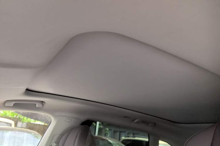 Used Leapmotor C11 2021 Deluxe Edition Headliner