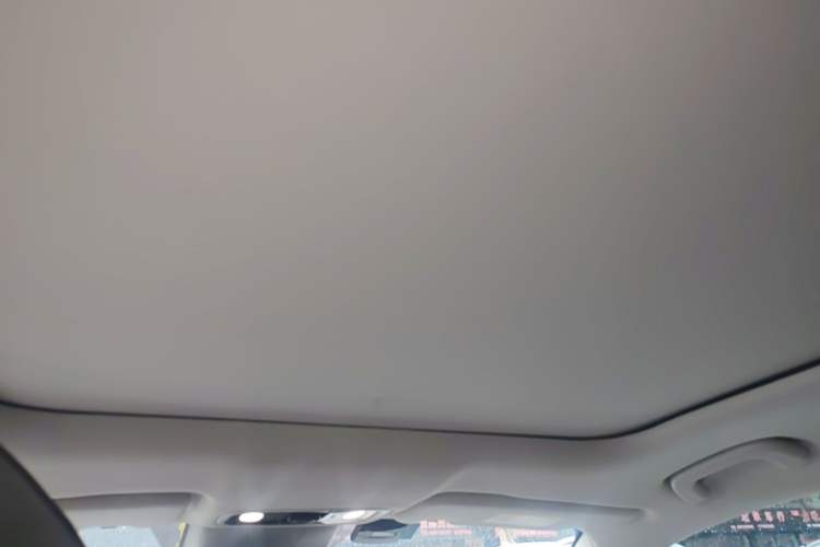 Used Leapmotor C11 2021 Deluxe Edition Headliner