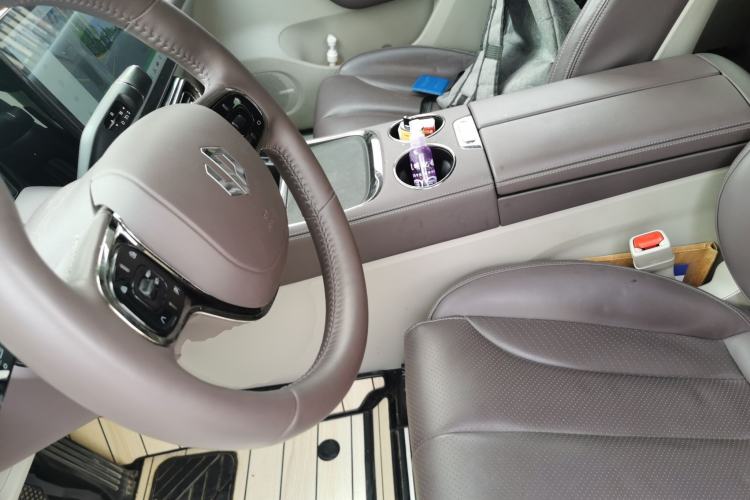 Used Leapmotor C11 2021 Luxury Edition Left Front Seat