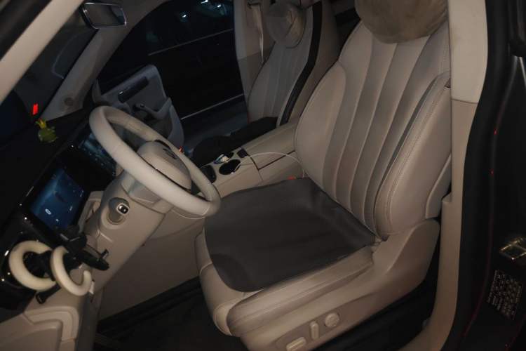 Used Leapmotor C11 2021 Revised Version Luxury Edition Left Front Seat
