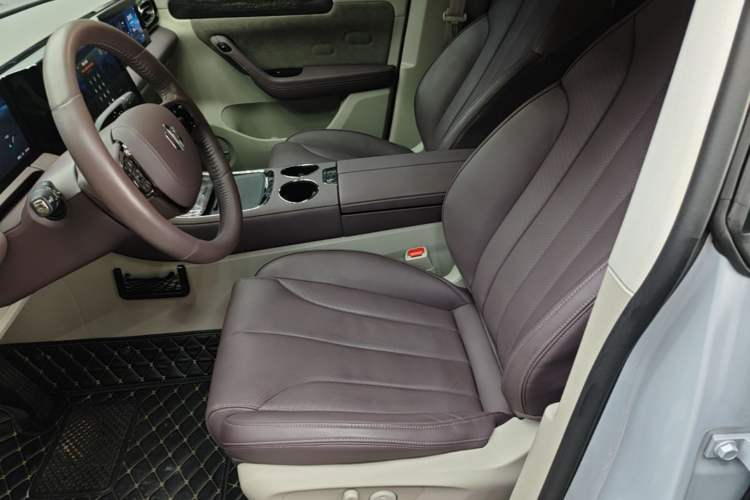 Used Leapmotor C11 2021 Luxury Edition Left Front Seat