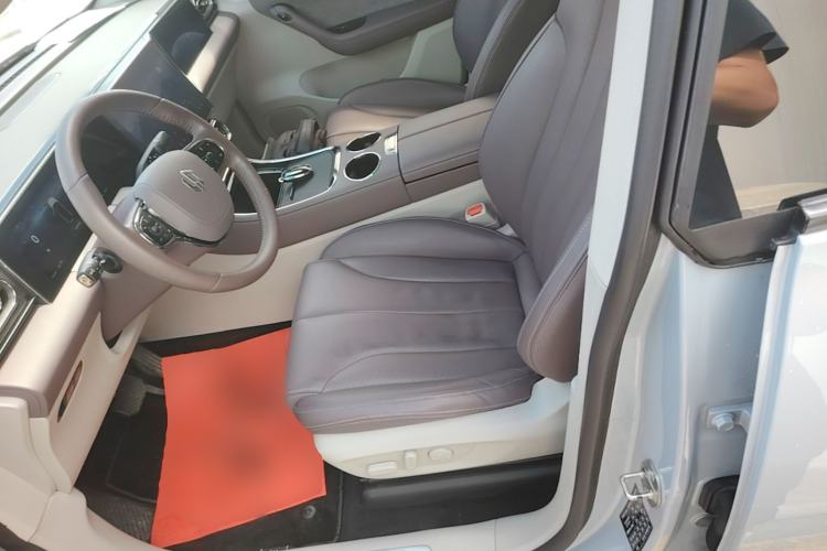 Used Leapmotor C11 2021 Luxury Edition Left Front Seat