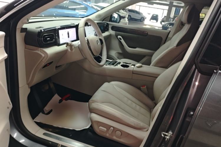 Used Leapmotor C11 2021 Luxury Edition Left Front Seat