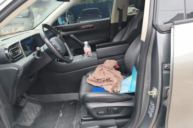Used Leapmotor C11 2021 Luxury Edition Left Front Seat