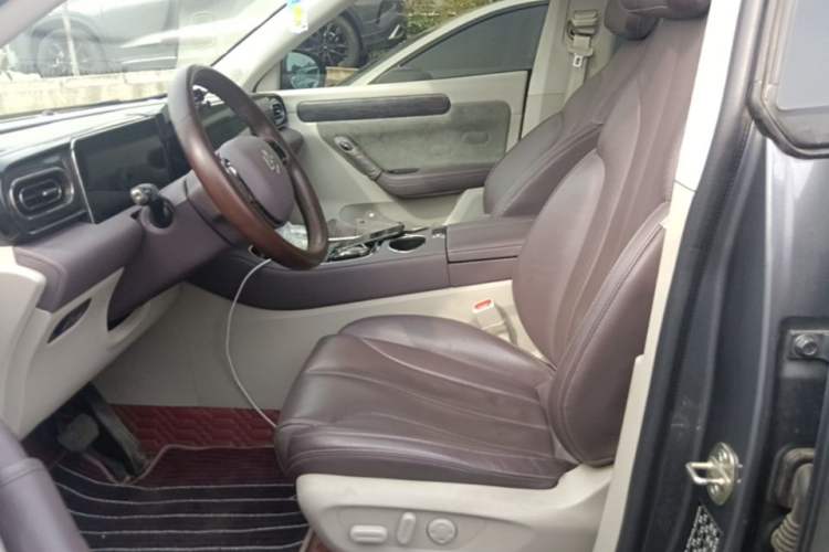 Used Leapmotor C11 2021 Deluxe Edition Left Front Seat