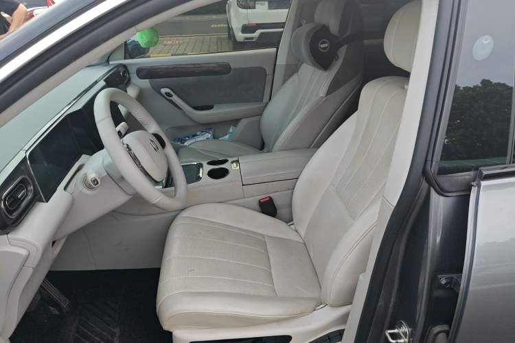 Used Leapmotor C11 2021 Luxury Edition Left Front Seat