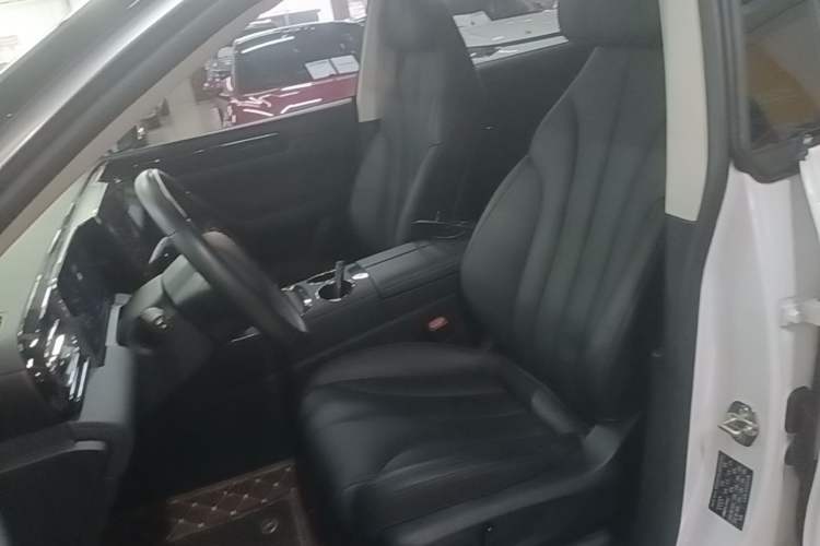 Used Leapmotor C11 2021 Luxury Edition Left Front Seat