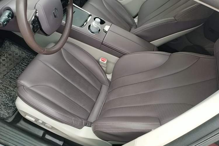 Used Leapmotor C11 2021 Luxury Edition Left Front Seat
