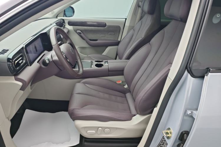 Used Leapmotor C11 2021 Deluxe Edition Left Front Seat
