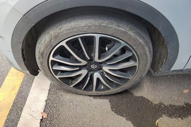 Used Leapmotor C11 2021 Luxury Edition Left Front Wheel Hub