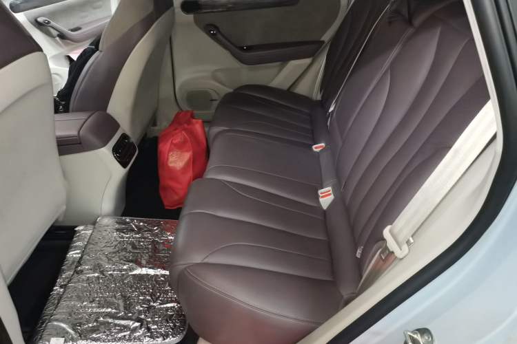Used Leapmotor C11 2021 Luxury Edition Left Rear Seat