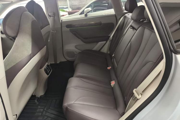 Used Leapmotor C11 2021 Luxury Edition Left Rear Seat