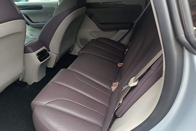Used Leapmotor C11 2021 Revised Version Luxury Edition Left Rear Seat
