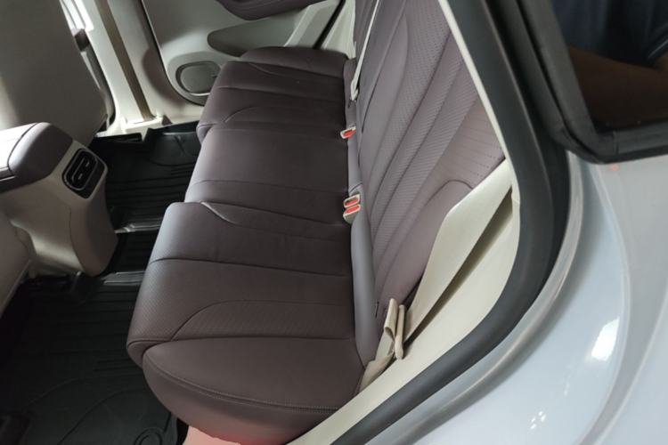 Used Leapmotor C11 2021 Revised Version Luxury Edition Left Rear Seat