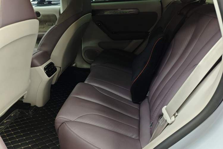 Used Leapmotor C11 2021 Luxury Edition Left Rear Seat